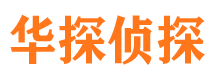 江海市侦探公司